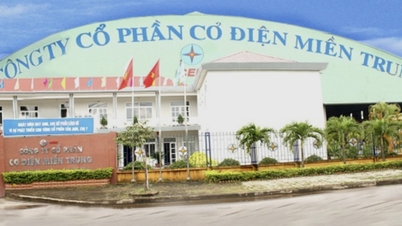 Luong Tai (LUT) និង Central Electromechanical (CJC) ត្រូវបានពិន័យជាប្រាក់ចំនួន 250 លានដុង។