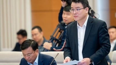 Proposal to allocate more than 2,500 billion VND for EVN to bring electricity to Con Dao