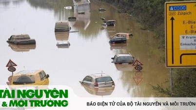 Chuyển từ ứng phó sang chủ động chuẩn bị