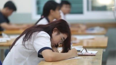 社会科学の試験を受けるときに「覚えておく」べき秘密