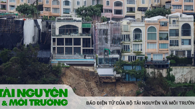 Biến đổi khí hậu đe dọa khu vực bất động sản giá trị nhất thế giới