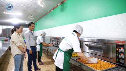 Ngành điều Bình Phước phát triển bền vững