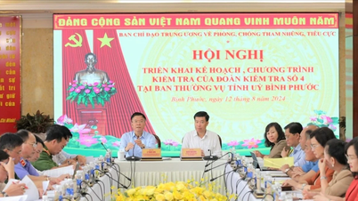 គណៈប្រតិភូអធិការកិច្ចនៃគណៈកម្មាធិការមជ្ឈិមស្តីពីការងារប្រឆាំងអំពើពុករលួយនៅខេត្ត Binh Phuoc។