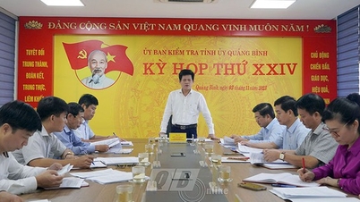 Kỷ luật phó giám đốc phụ trách Ban quản lý rừng phòng hộ Đồng Hới