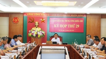 Đề nghị kỷ luật 2 cựu Giám đốc Sở Nội vụ và Y tế tỉnh Gia Lai
