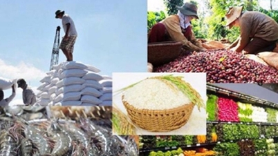 Xuất khẩu nông, lâm, thuỷ sản: Quyết tâm 'cán' mốc kỷ lục 60 tỷ USD