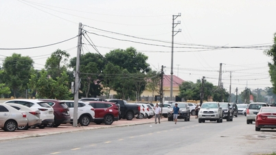 114 lô đất nông thôn lập kỷ lục về hồ sơ đăng ký đấu giá, ô tô kín đường