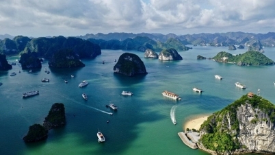 Lotte Duty Free និង Modetour សហការ​អភិវឌ្ឍ​វិស័យ​ទេសចរណ៍​ក្នុង​ប្រទេស​វៀតណាម