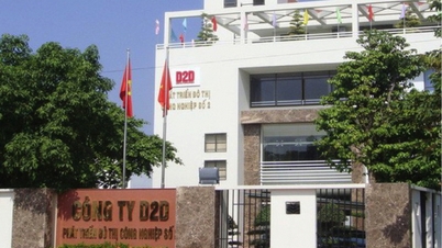 Phát triển Đô thị Công nghiệp số 2 (D2D) thua lỗ nửa đầu năm, vẫn trả cổ tức tiền mặt 87%