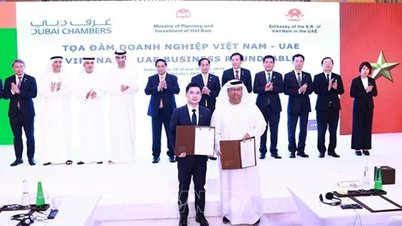 Nhiều tập đoàn lớn của UAE muốn tăng cường hợp tác với Việt Nam