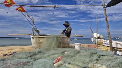 Ngắm khung cảnh yên bình của “làng chài trong phố”