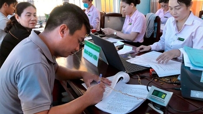 Tín dụng chính sách góp lực đổi thay diện mạo đô thị Hoài Nhơn