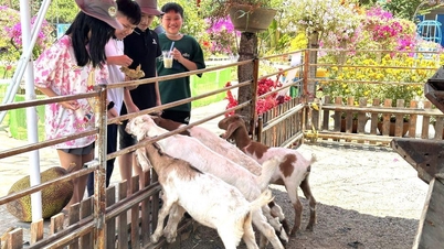 Dong Nai មាន​ផលិតផល​ទេសចរណ៍​ចំនួន ៣ ដែល​បំពេញ​តាម​ស្តង់ដារ OCOP លំដាប់​ផ្កាយ ៣