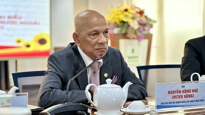 ធុរកិច្ចវៀតណាមនៅក្រៅប្រទេសចង់អភិវឌ្ឍឧស្សាហកម្ម semiconductor របស់វៀតណាមរួមគ្នា
