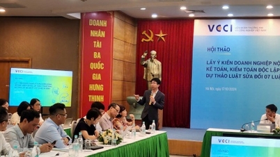 Chính thức bỏ đề xuất nhà đầu tư chuyên nghiệp giao dịch 10 lần mỗi quý