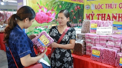 គម្រោង ០១ មាន​សារៈសំខាន់​ខ្លាំង​សម្រាប់​ការ​ចូលរួម​របស់​ស្ត្រី​ក្នុង​វិស័យ​សេដ្ឋកិច្ច​សមូហភាព។