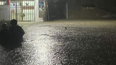 Đà Nẵng khẩn trương di dời, sơ tán người dân khỏi vùng ngập lụt do mưa lớn