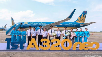 “Newbie” Airbus A320 neo officially joins Vietnam Airlines fleet