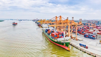 Khẳng định vị thế hàng hải Việt Nam trên bản đồ quốc tế