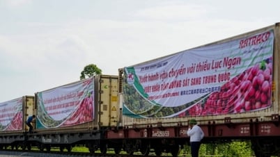Good news about fruit exports: New opportunities for Vietnamese agricultural products