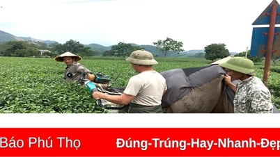 Chi bộ vững mạnh tiêu biểu