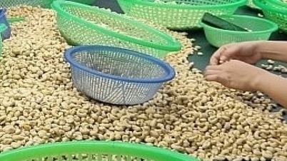2 nhóm hàng xuất khẩu ngành nông nghiệp tăng trưởng 3 con số