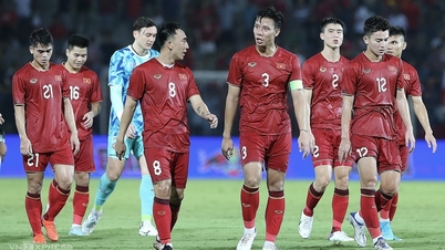 Ông Phan Anh Tú: 'Còn sớm để chê tuyển Việt Nam thời HLV Troussier'