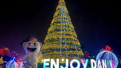 ទីក្រុង Da Nang សាងសង់កន្លែង Check-in ពិសេសសម្រាប់ភ្ញៀវទេសចរ