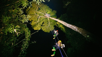 Camping, sleeping in hammocks on tall trees in the middle of the forest