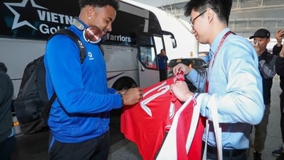 La selección de Vietnam llega sana y salva a Tailandia y lucha por el trono de la Copa AFF