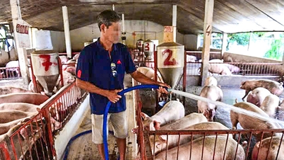 Importing 10 billion USD of animal feed ingredients every year, the minister said we need to be self-sufficient.
