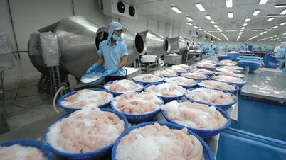 Xuất khẩu cá tra sang Trung Quốc và Mỹ tiếp tục phục hồi