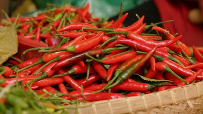 Vietnam's chili export turnover increased by nearly 32%