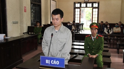 Trộm 42 điện thoại, cựu cán bộ công an lãnh 9 năm tù