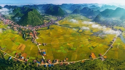 Để Trung du và miền núi Bắc Bộ không còn là "vùng trũng" trong phát triển kinh tế