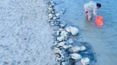 Environmental incident in Ha Long Bay will be resolved before June 15