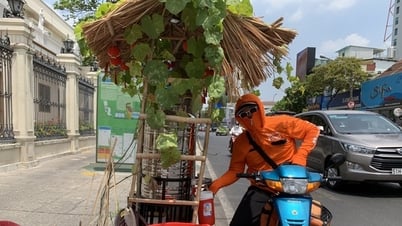 Trời như đổ lửa bỗng mát dịu với bình nước đá dưới giàn hoa xanh