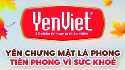Yến chưng mật cây Lá Phong