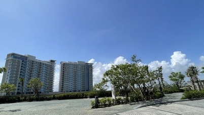 Chủ tịch tỉnh chỉ đạo giải phóng mặt bằng Khu nghỉ dưỡng Nam Hội An