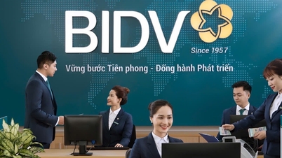More financial tools for businesses to transform green and develop sustainably
