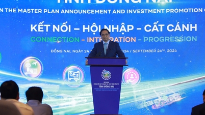 Quy hoạch tỉnh giúp Đồng Nai "cất cánh" và hội nhập