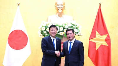 응우옌 홍 디엔 장관은 일본 CPTPP 협정 담당 장관과 협력하고 있습니다.