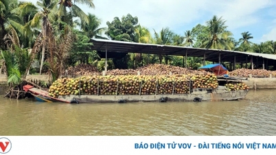 តម្លៃផ្លែឈើជាច្រើននៅ Tien Giang និង Ben Tre បានកើនឡើងដោយសារកង្វះការផ្គត់ផ្គង់។