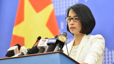 Việt Nam kêu gọi lập tức ngừng bắn ở Dải Gaza