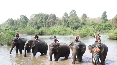 [Photo] Elephant-friendly tourism