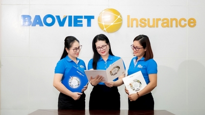 Guarantee insurance and corporate credit insurance have seized the opportunity?