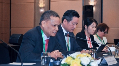 The High Seas Treaty - BBNJ (final episode): An opportunity for Vietnam to expand its vision beyond the East Sea