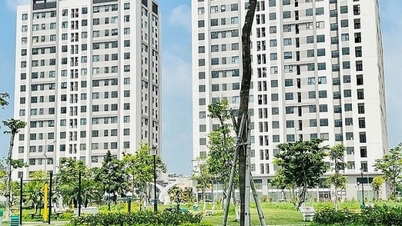 Investors restore confidence in the market, many large M&A deals, principles for leasing and buying and selling social housing
