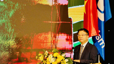 Tra Que Vegetable Village awarded the certificate of Best Tourist Village in 2024