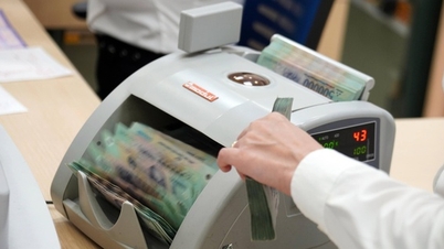 Business requests to postpone dividend payment, shareholders have not received money for 10 years